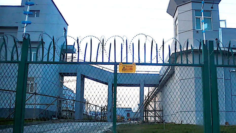 Mother recounts horrors of brutal Chinese detention camp where infant son died Insurance Yet